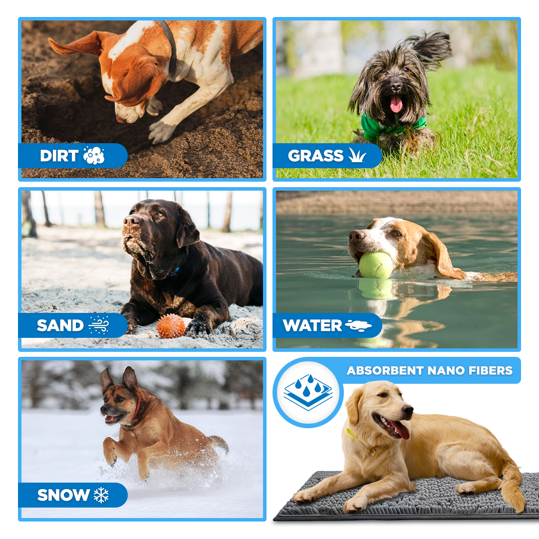 Cleanermat – The #1 Mat for Clean Floors & Happy Paws